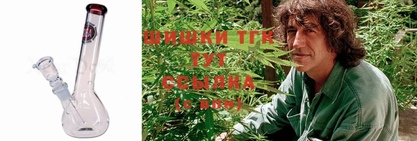 эйфоретик Арсеньев