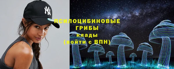 тгк Аркадак