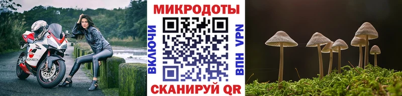 Псилоцибиновые грибы Psilocybe  Купить закладки  Гагарин 